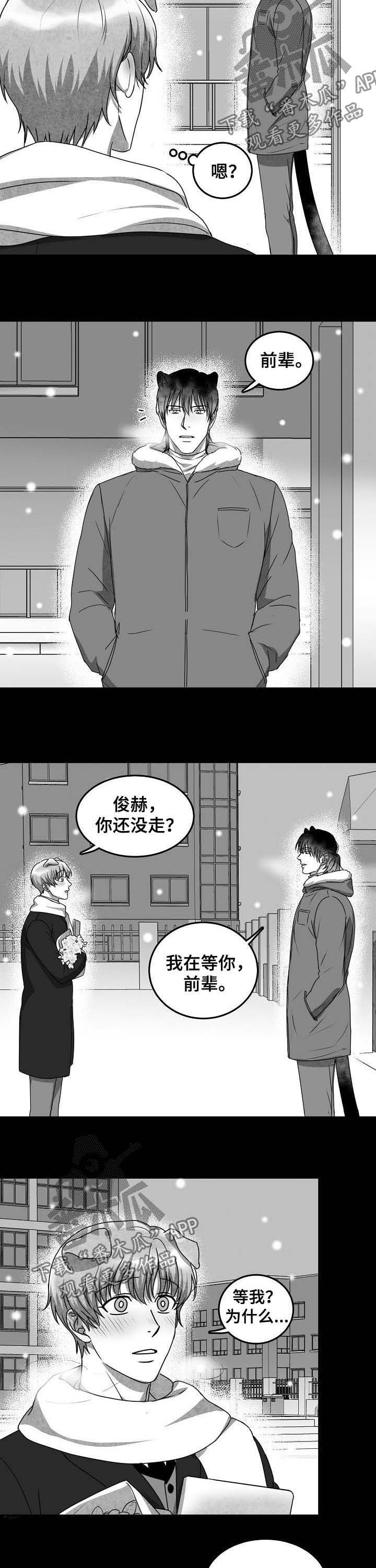 第38章：没有勇气2