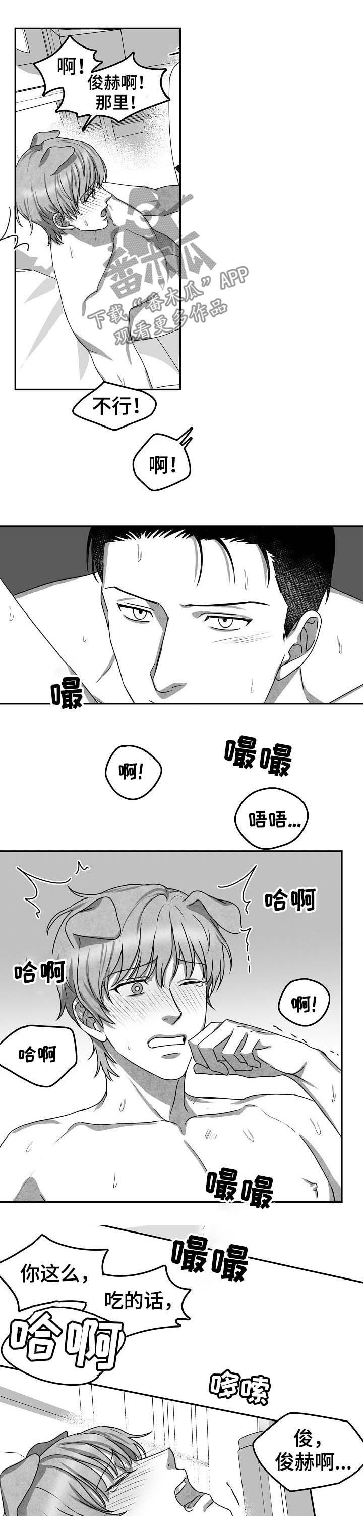 第43章：项目结束0