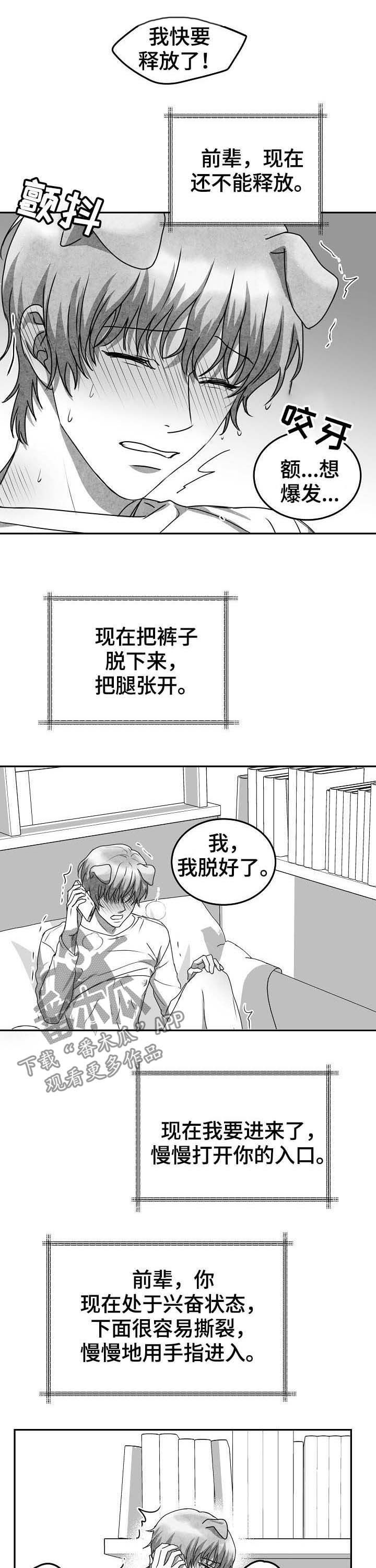 第41章：打电话0