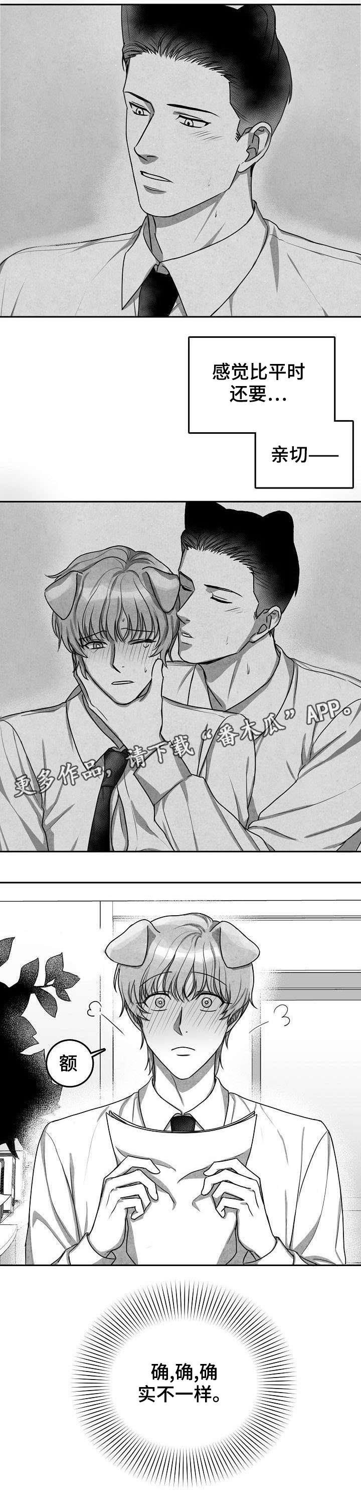 第22章：有点奇怪2