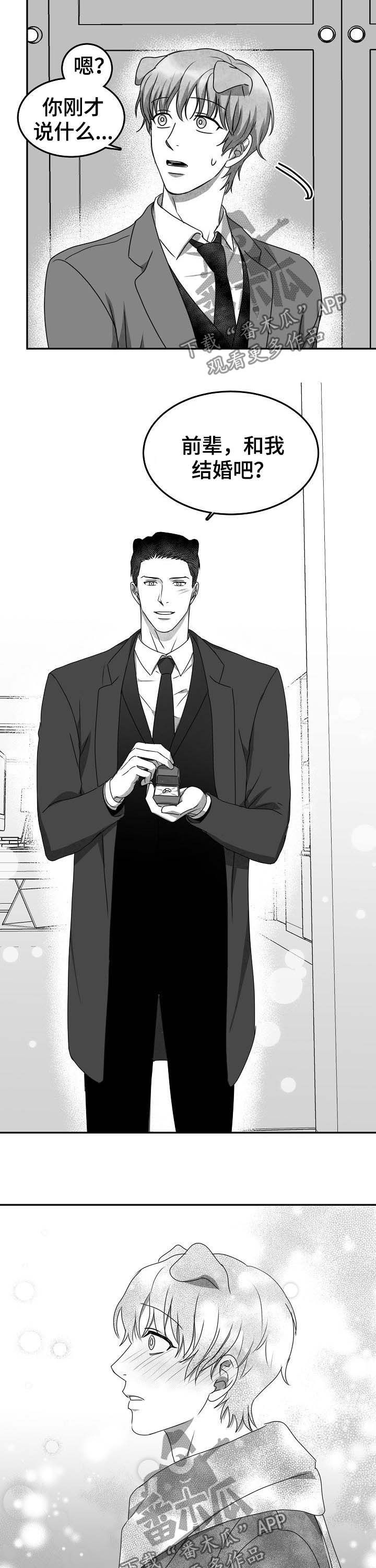 第44章：求婚（完结）1