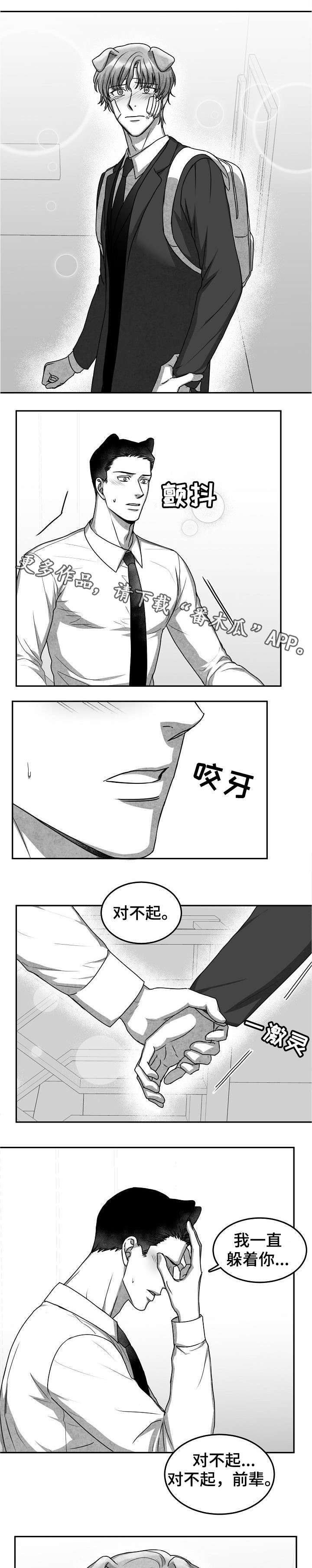 第31章：对不起2