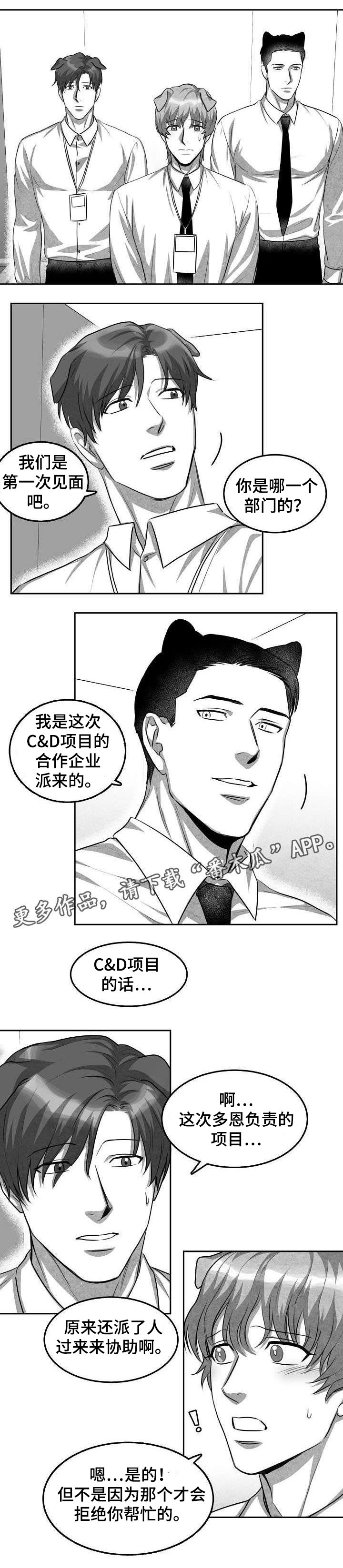 第3章：猫科同事3