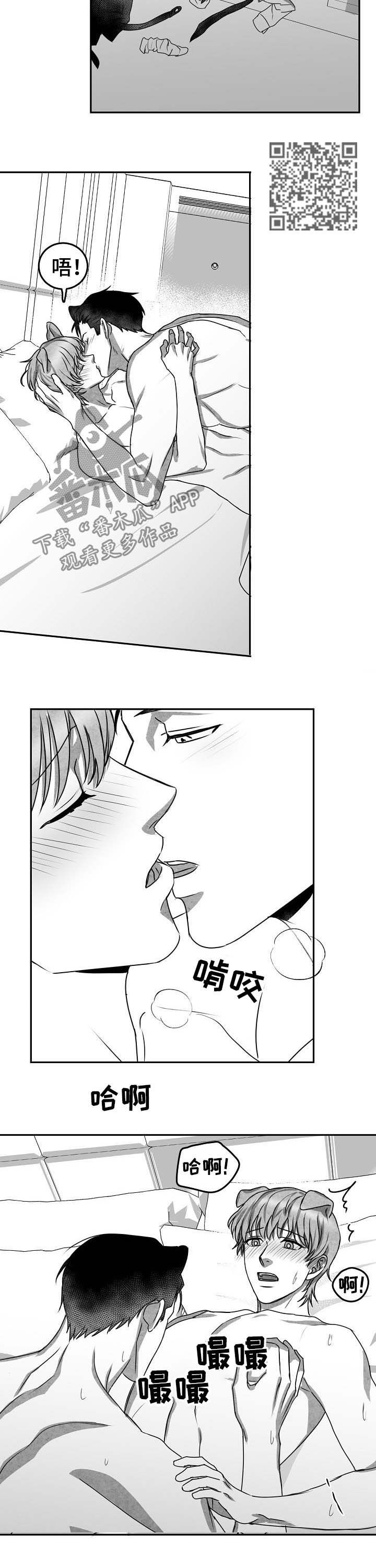 第43章：项目结束4