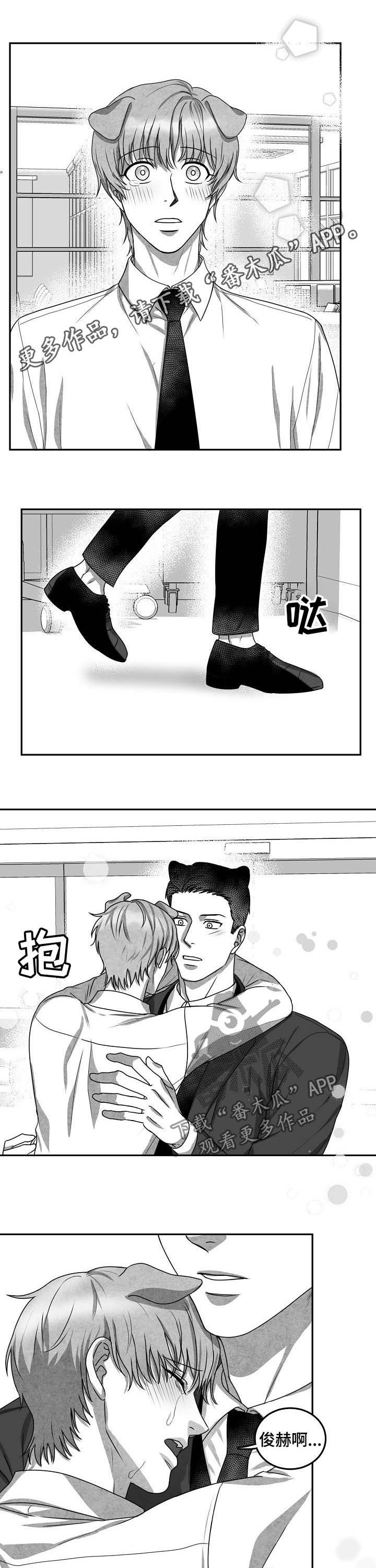 第43章：项目结束0