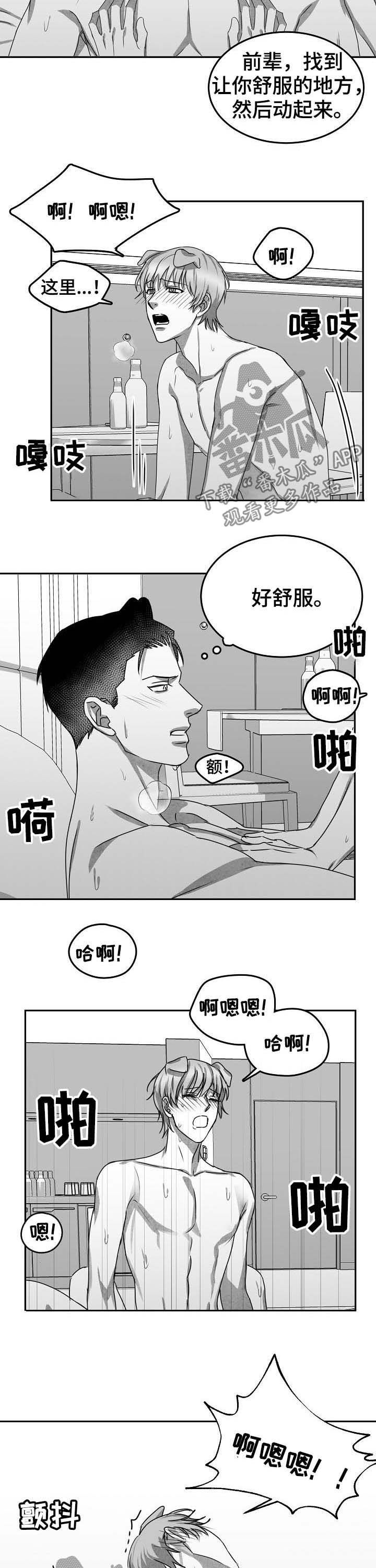 第44章：求婚（完结）2