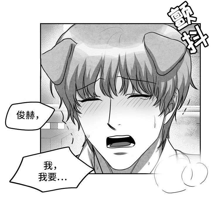 第14章：就这么办2