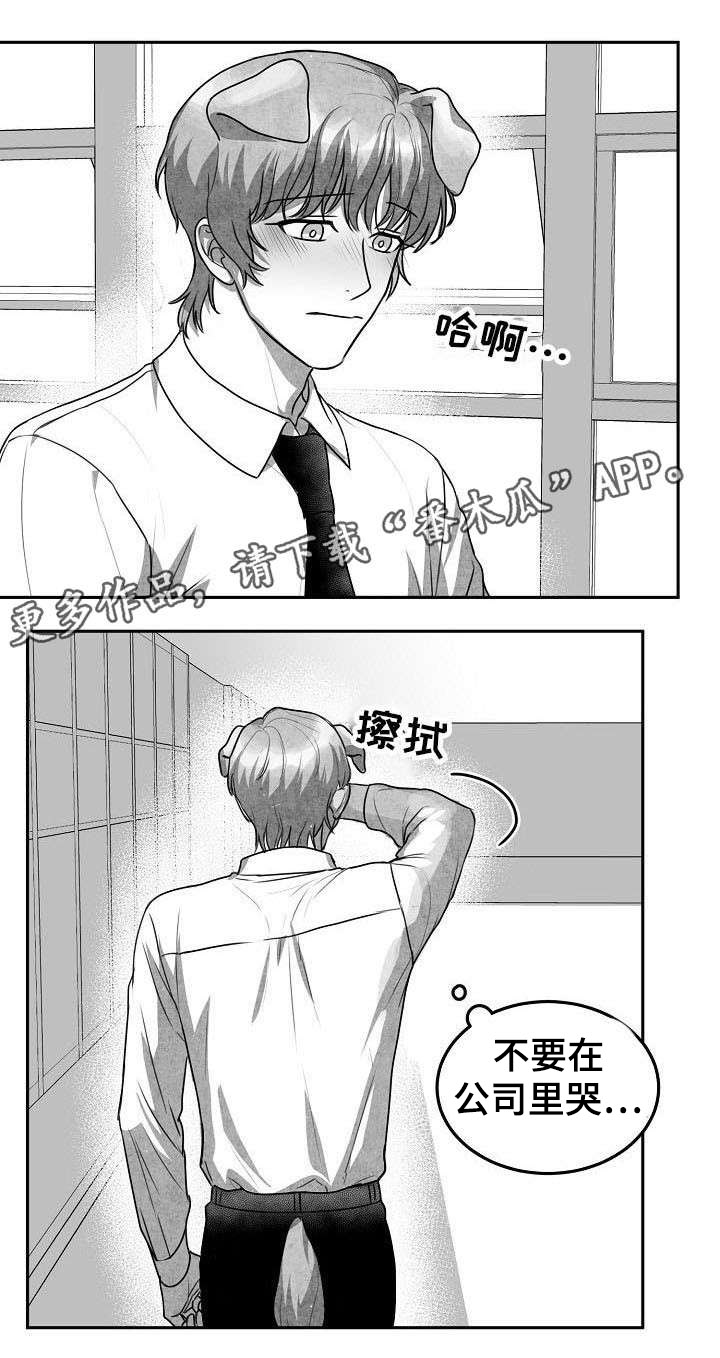 第20章：变回原形2
