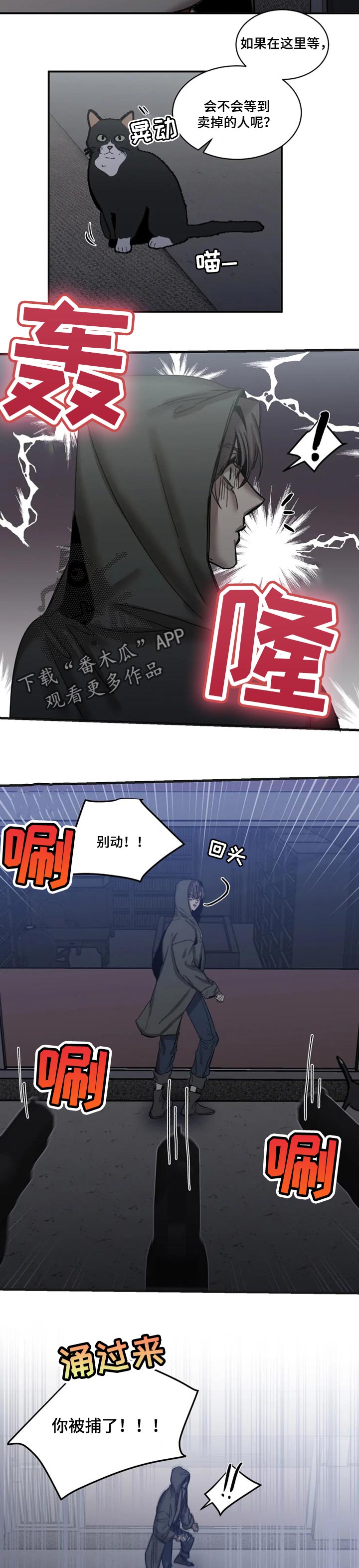 生还之岛漫画,第78章：【第二季】找准时机1图