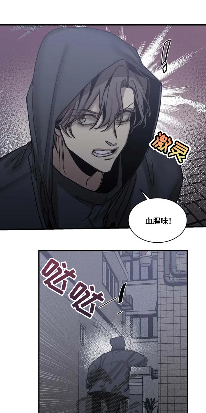 生还之岛小说漫画,第93章：【第二季】让他来找我3图