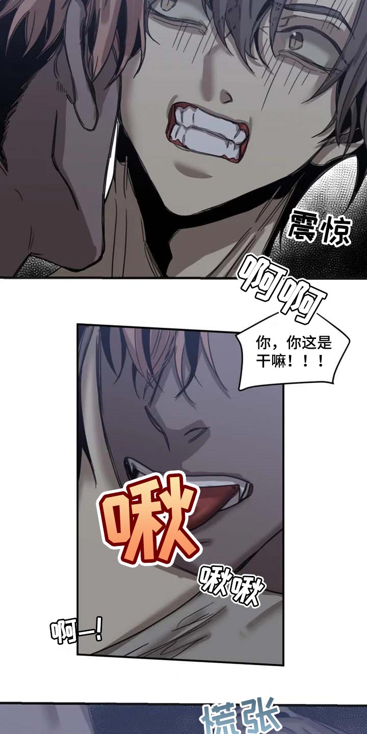 生还之岛漫画,第81章：【第二季】证明你的清白3图