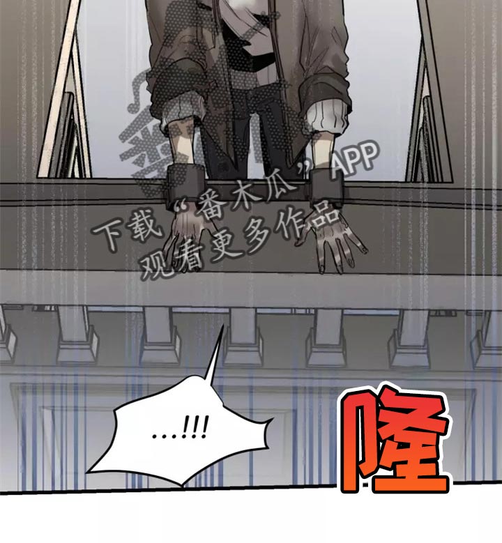 生还之岛我喵漫画漫画,第117章：【第二季】神圣个屁3图