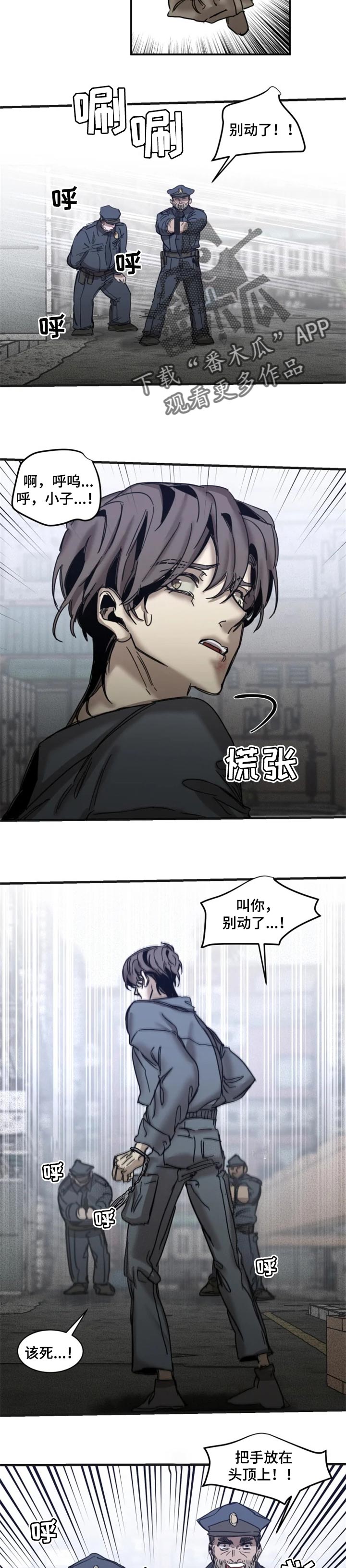 生还之岛 漫画免费观看漫画,第67章：【第二季】不能被抓4图