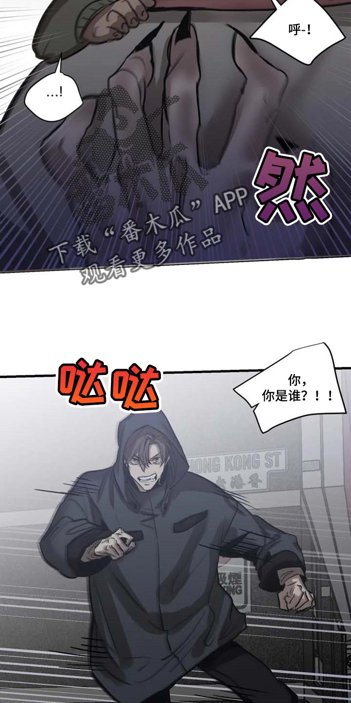 生还之岛漫画,第94章：【第二季】目击者4图