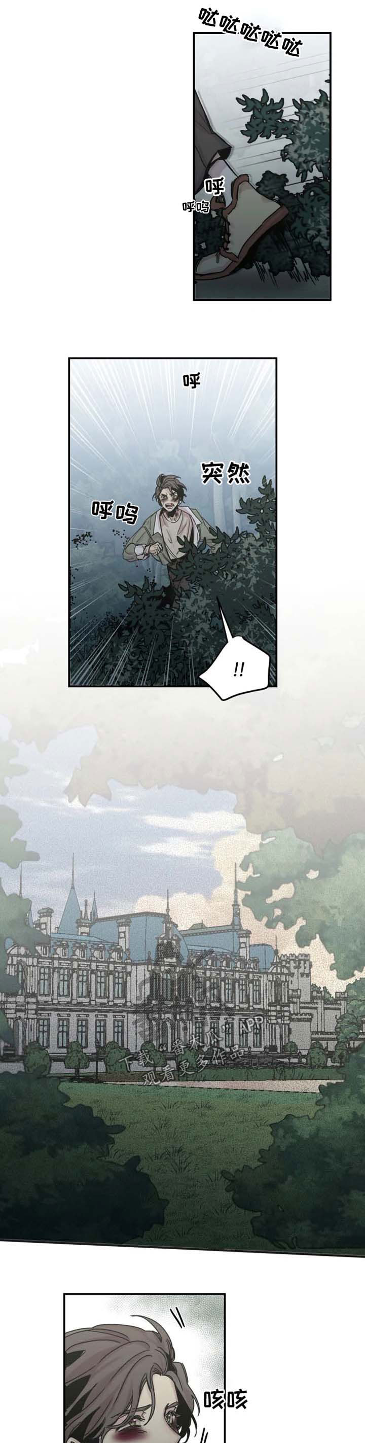 生还之岛漫画,第41章：追杀1图