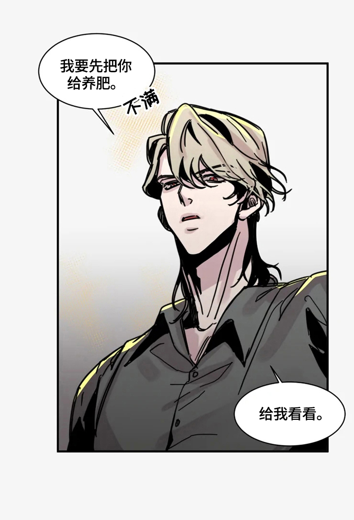 生还之岛漫画,第19章：我喜欢4图