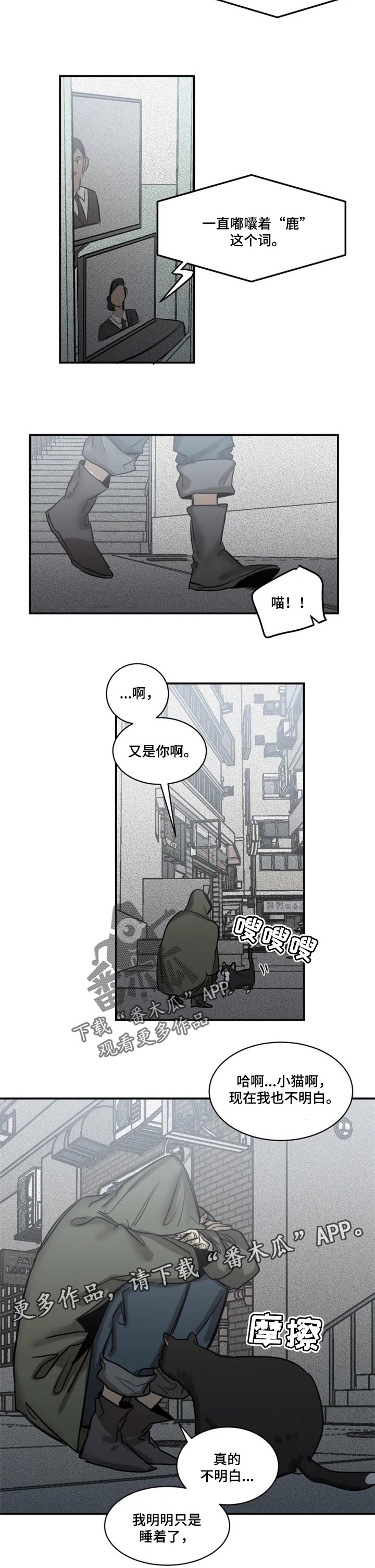 生还之岛 漫画免费观看漫画,第74章：【第二季】只是睡着了3图