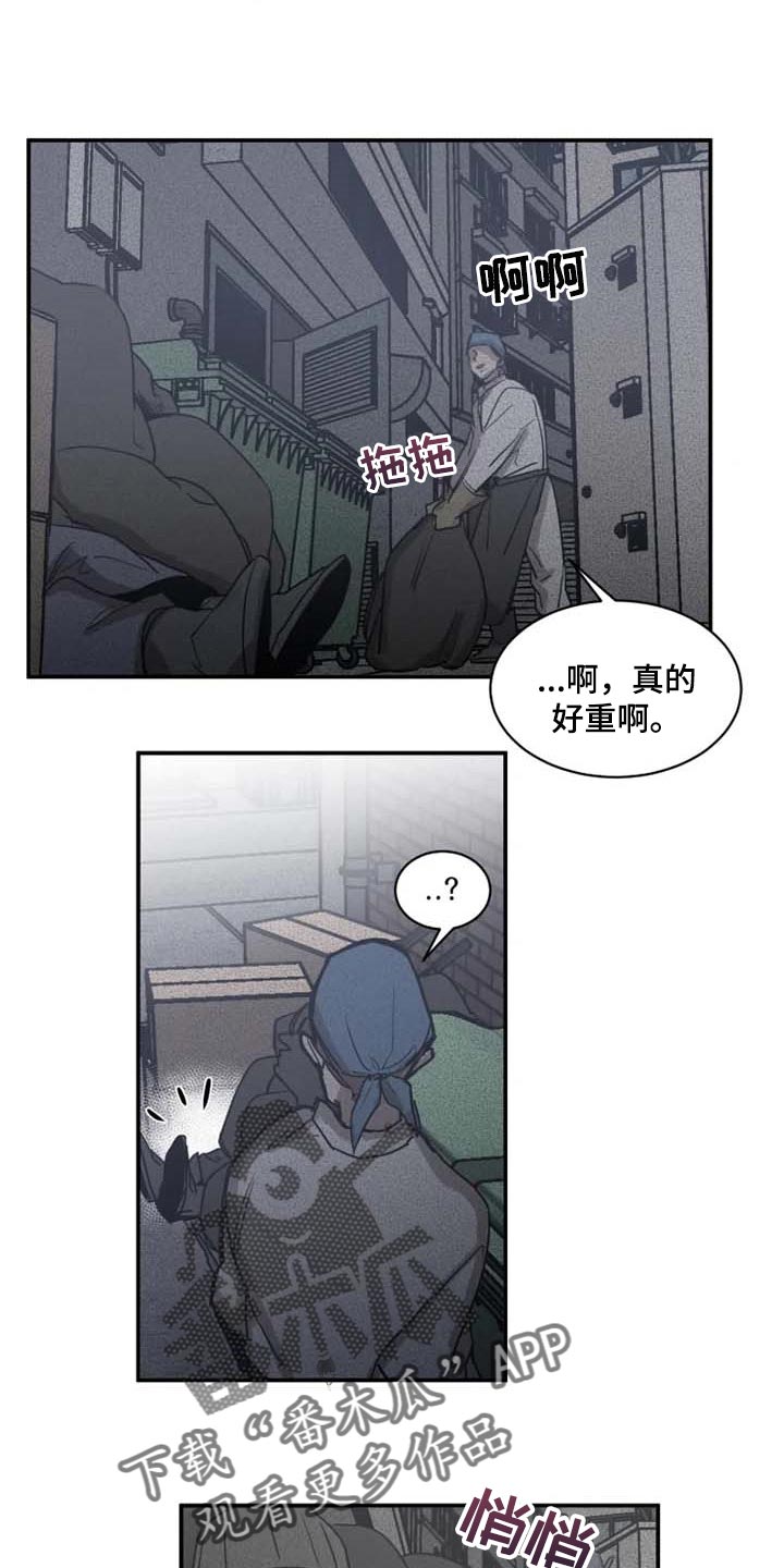 生还之岛 漫画免费观看漫画,第83章：【第二季】少耍小聪明4图