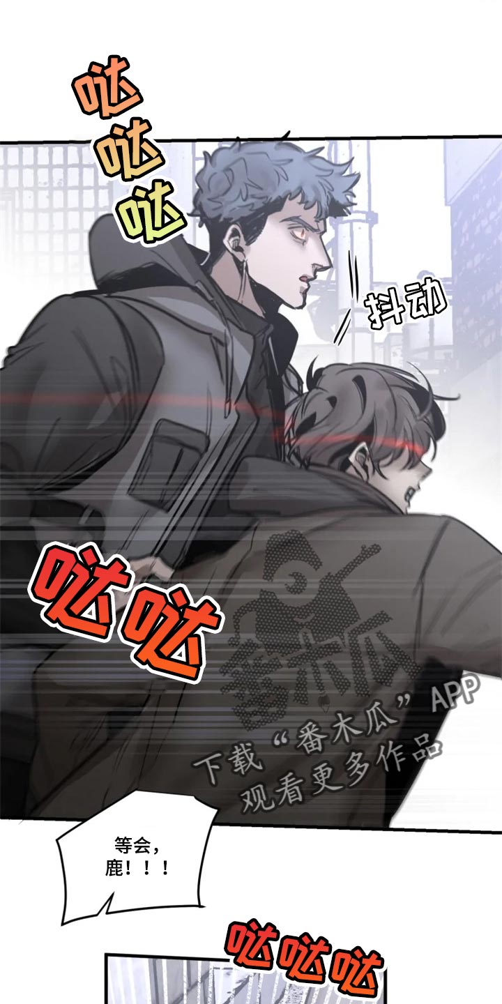 生还之岛 漫画免费观看漫画,第111章：【第二季】暂时配合3图