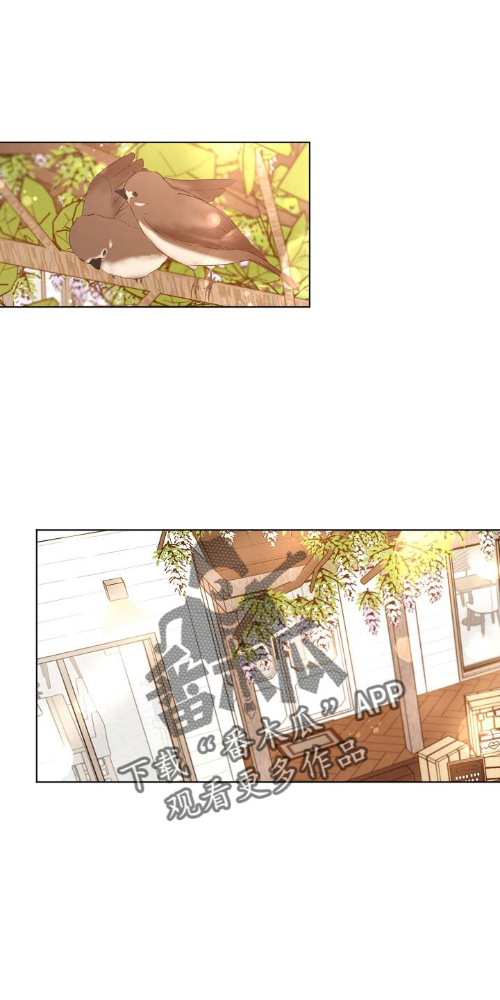 意大利餐厅漫画,第156章：期待1图
