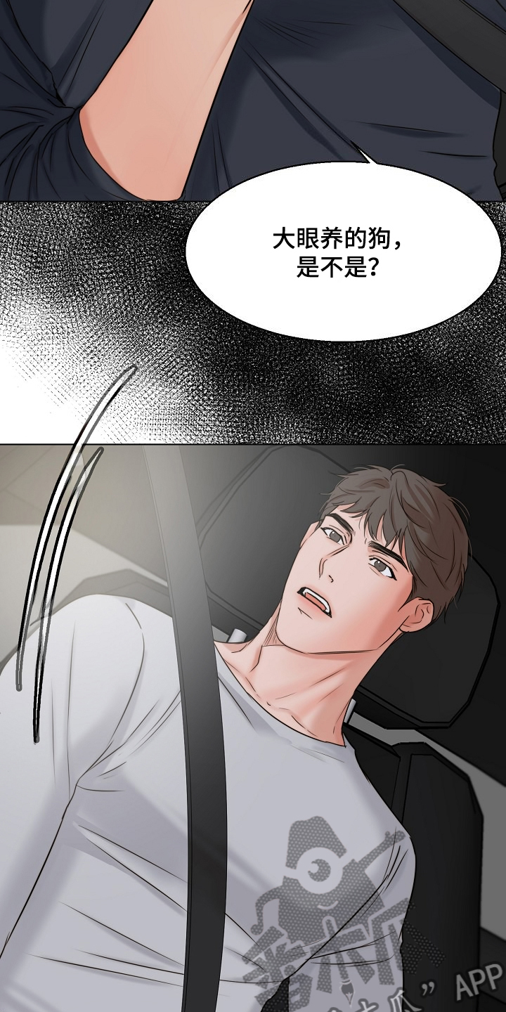 意大利餐厅漫画,第136章：不寻常的狗5图
