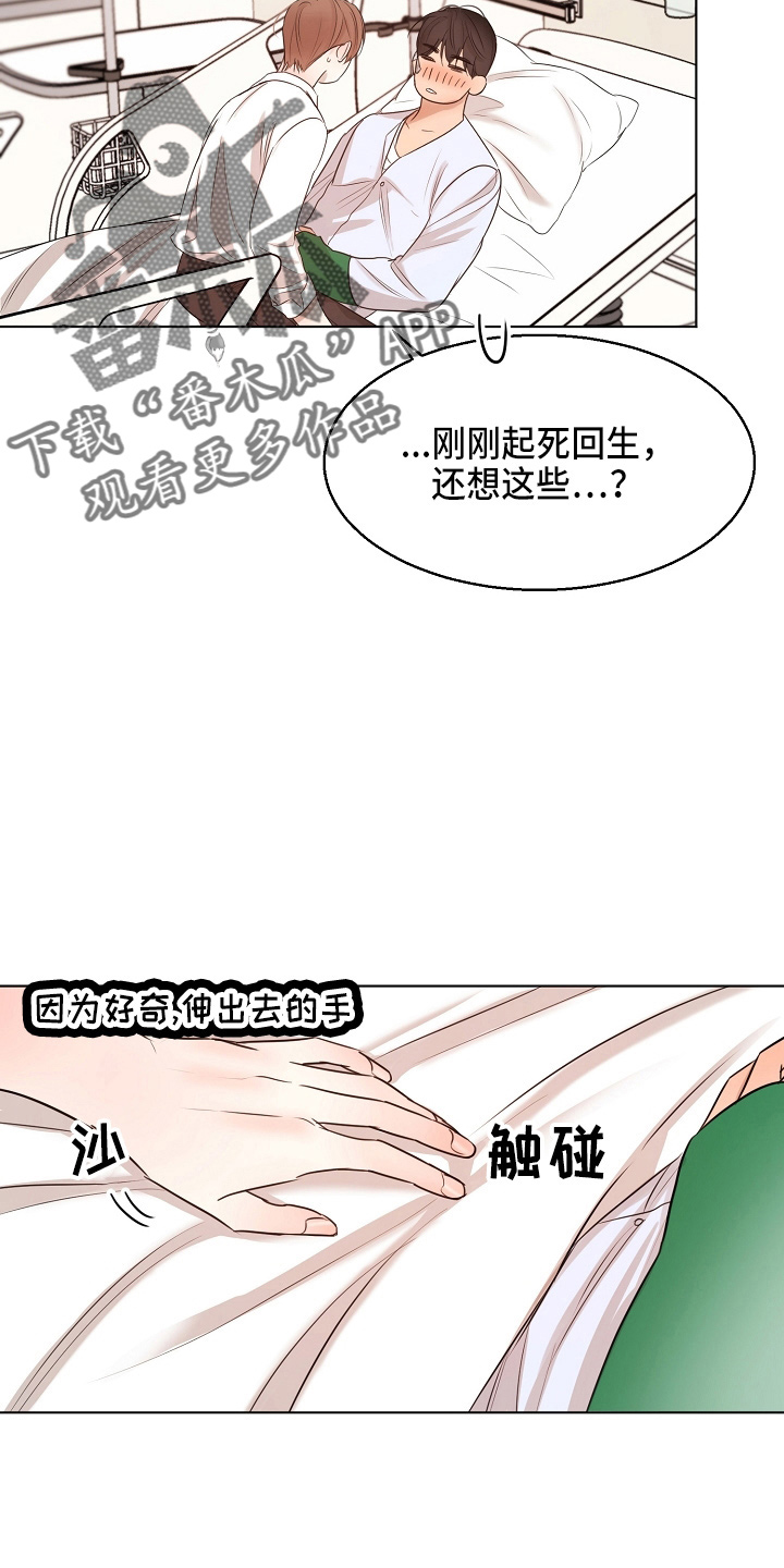 意大利餐厅漫画,第147章：我喜欢你2图