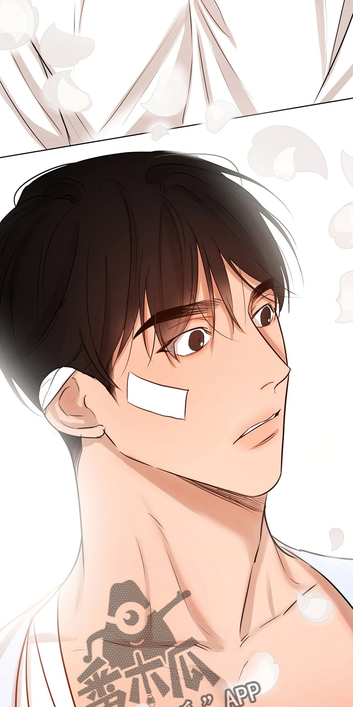 意大利餐厅漫画,第147章：我喜欢你3图