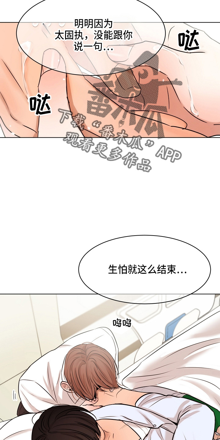 意大利餐厅漫画,第147章：我喜欢你5图