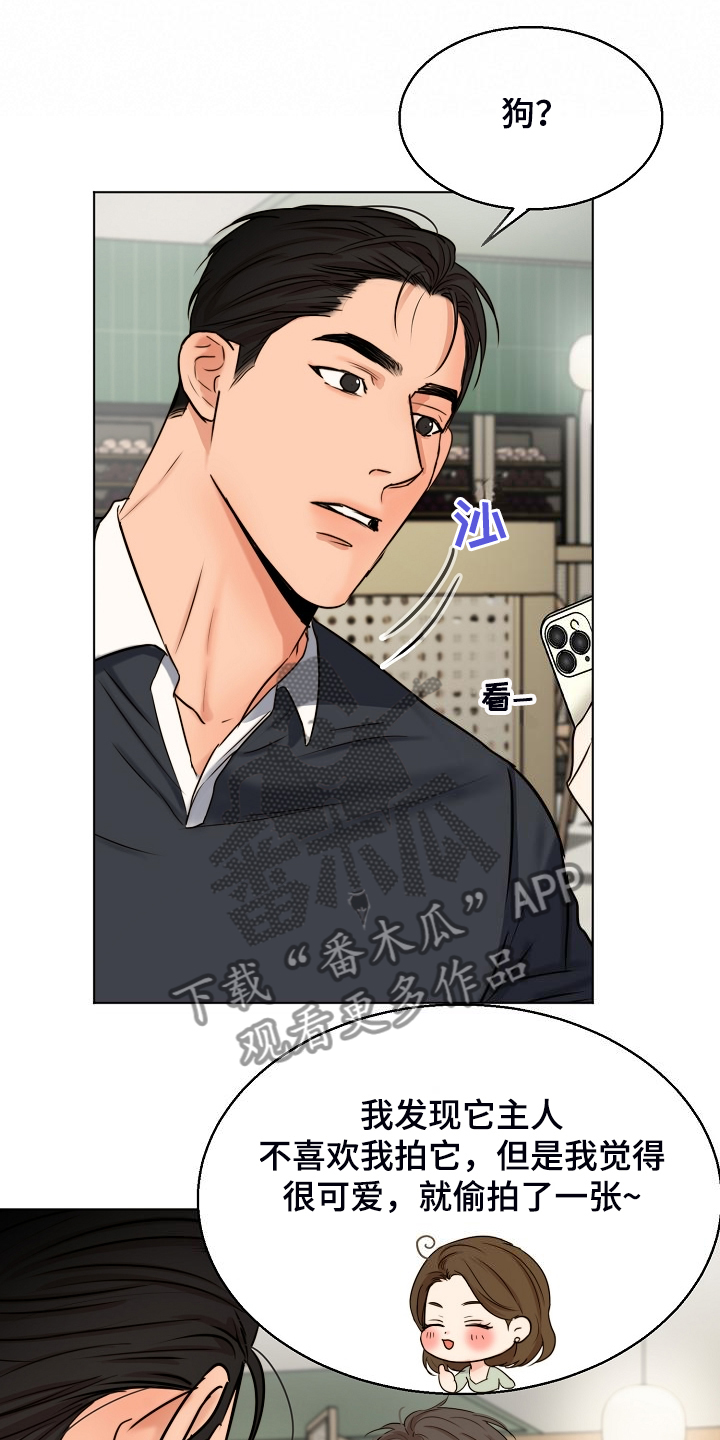 意大利餐厅漫画,第135章：处对象的俩人1图