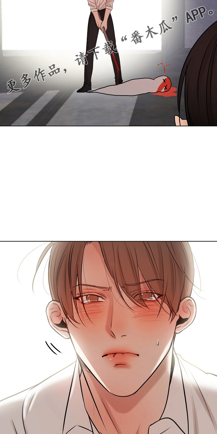 意大利餐厅漫画,第144章：不能死5图