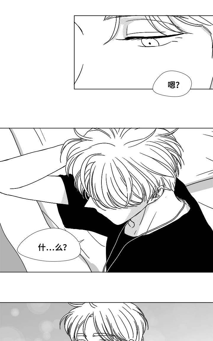 听牌神器app下载漫画,第74章：项链3图