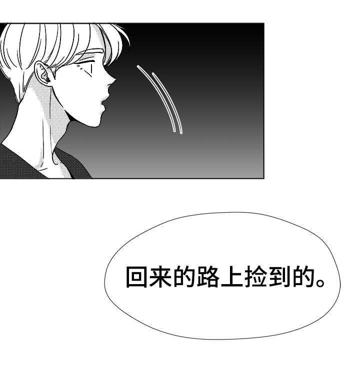 停牌股票一览表漫画,第37章：暧昧5图