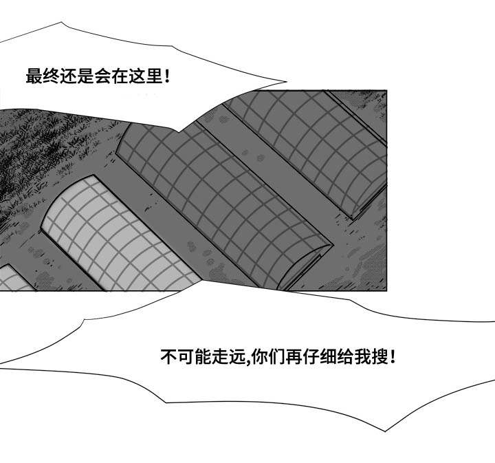 听牌漫画,第25章：赶紧上来1图