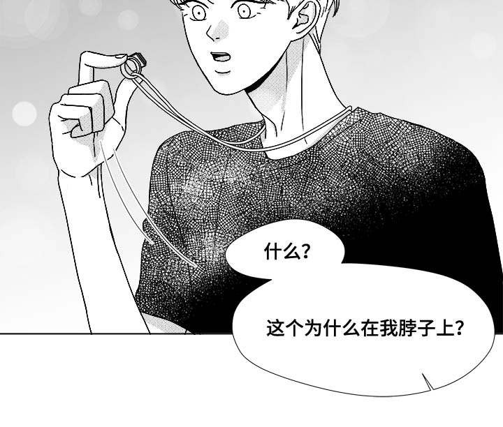 听牌神器app下载漫画,第74章：项链4图