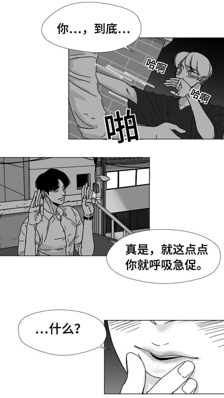 停牌股票一览表漫画,第38章：第一次的亲吻2图