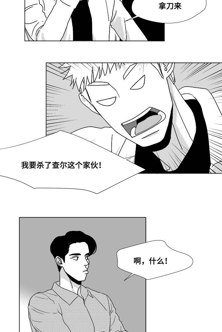 听牌神器app下载漫画,第27章：查尔家5图