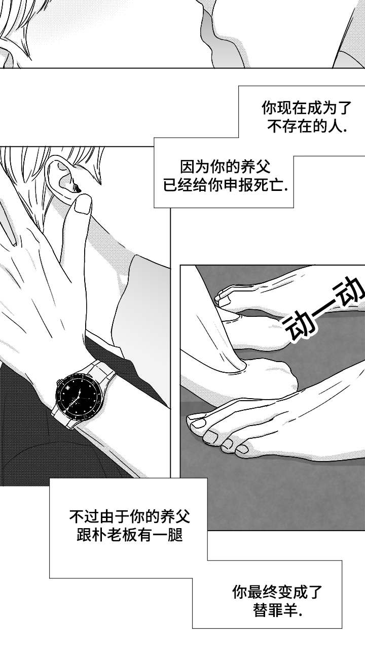 听牌分析器软件漫画,第65章：直接进入吧3图
