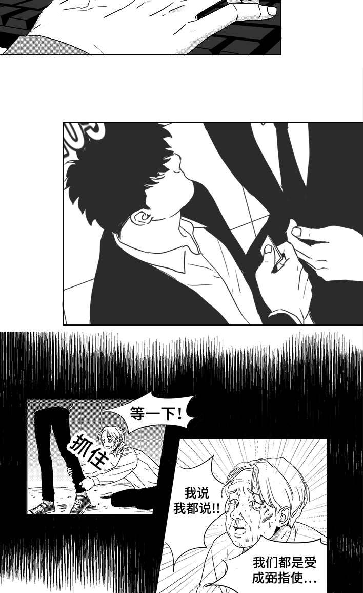 听牌漫画,第58章：可惜了1图