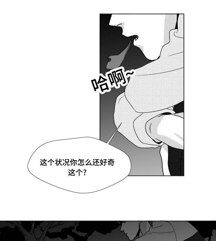 听牌漫画,第26章：相信你5图