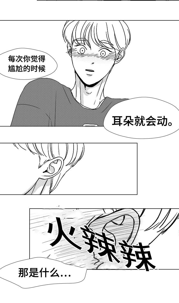停牌什么意思漫画,第41章：误会1图