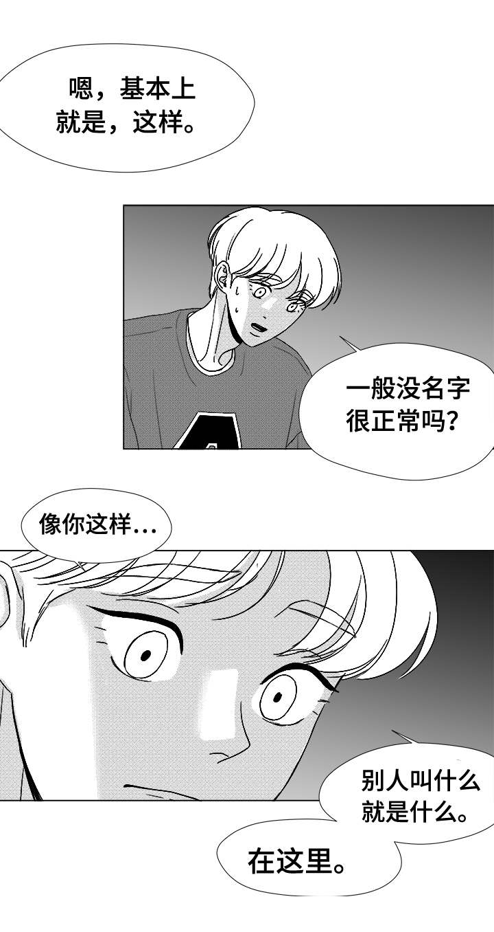 听牌速度快的方法漫画,第41章：误会4图