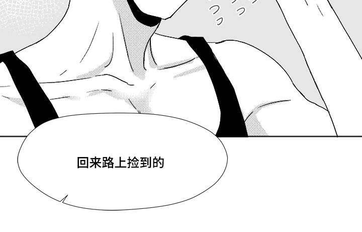 停牌股票一览表漫画,第34章：捡到的5图
