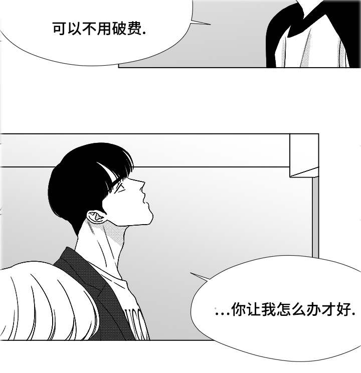 听牌类型图解大全漫画,第52章：你让我怎么办才好4图