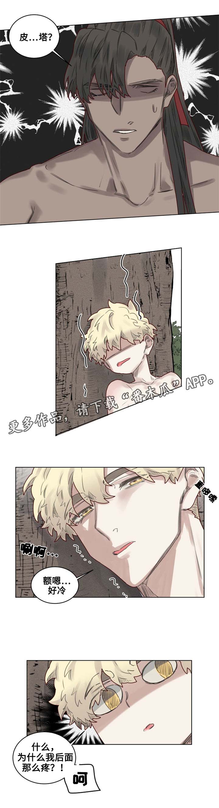 魔法师皮塔漫画,第22章：特殊的解毒5图