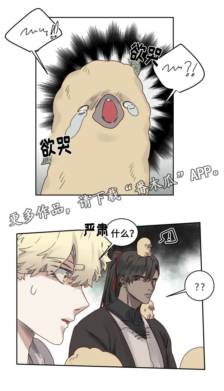 魔法师皮塔漫画,第20章：观察者2图