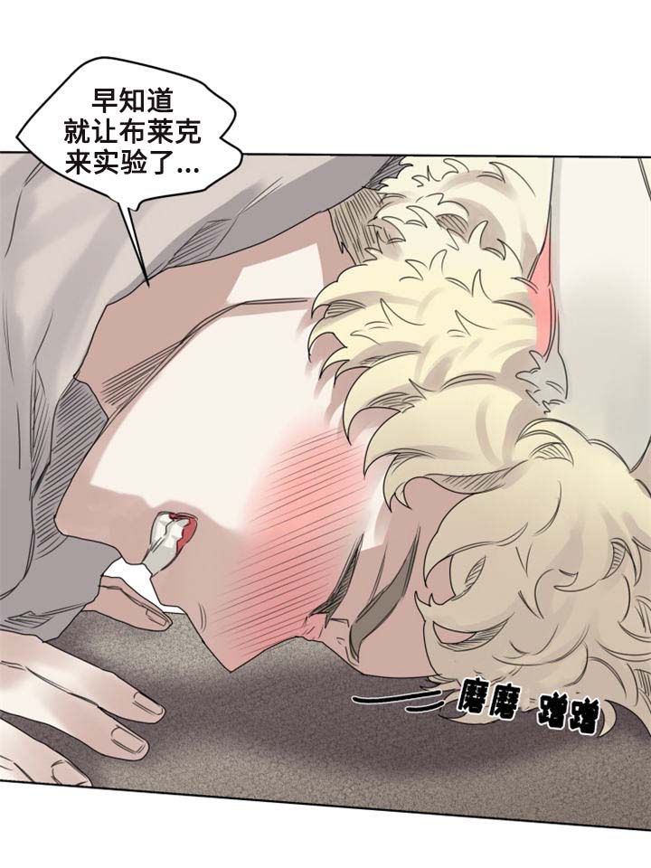魔法师皮塔漫画,第9章：猫咪套装1图