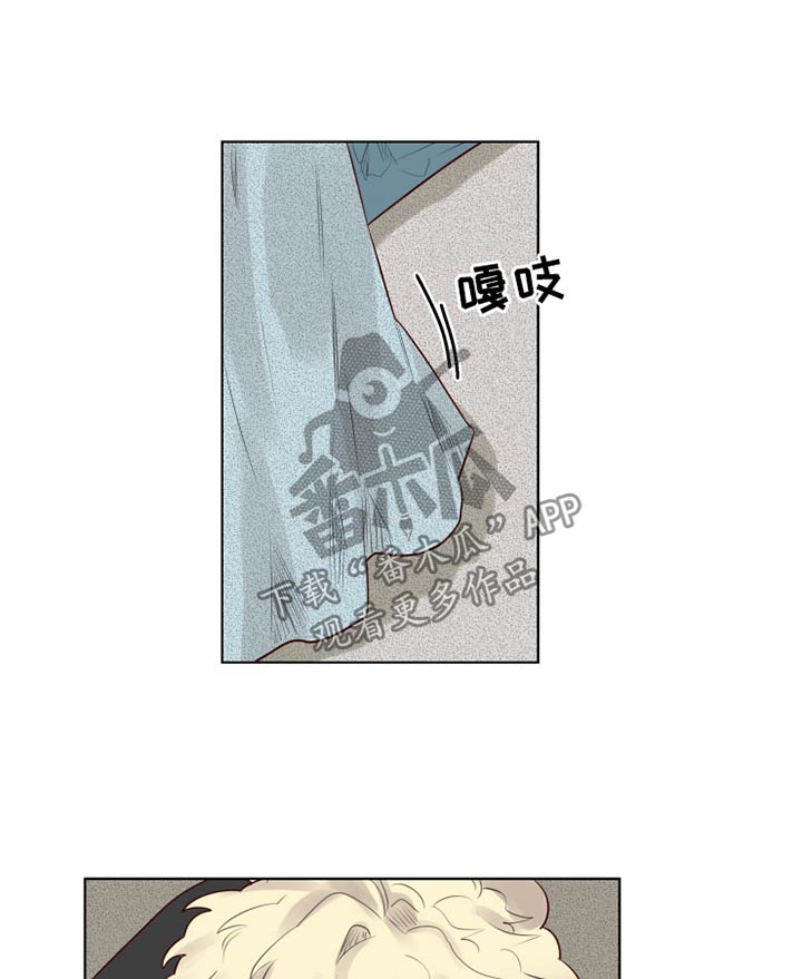 魔法师皮塔漫画,第30章：清醒2图
