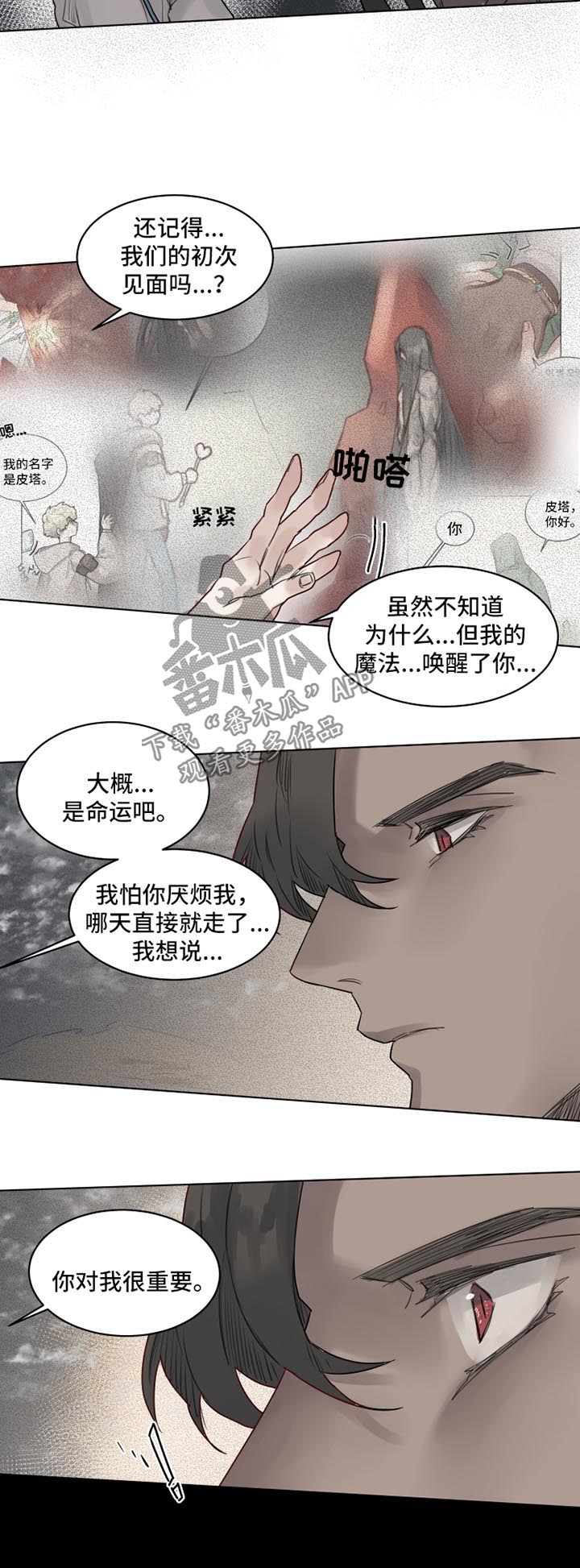 魔法师皮塔漫画,第29章：你对我很重要2图