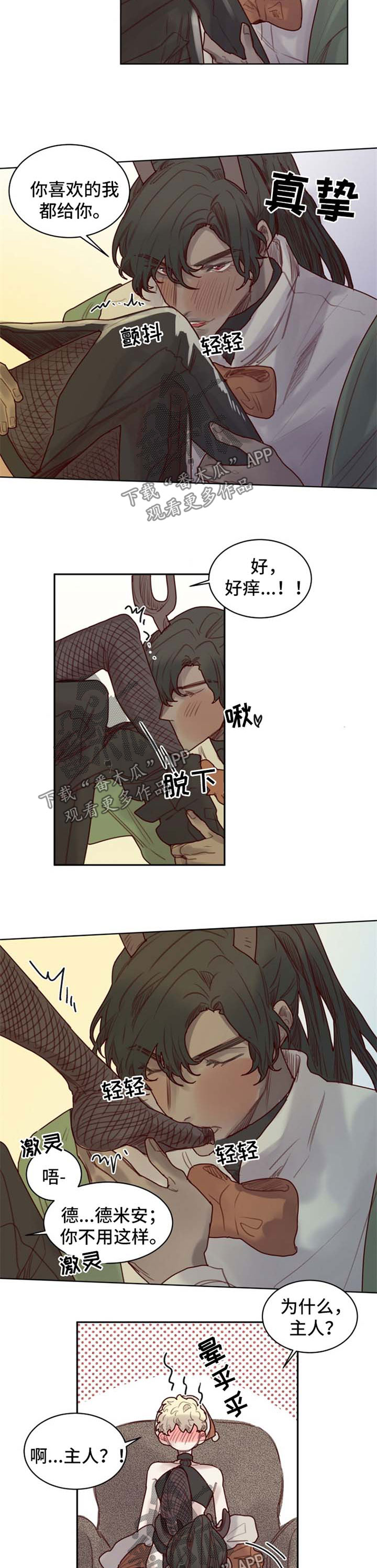 魔法师皮塔漫画,第57章：番外：圣诞节12图