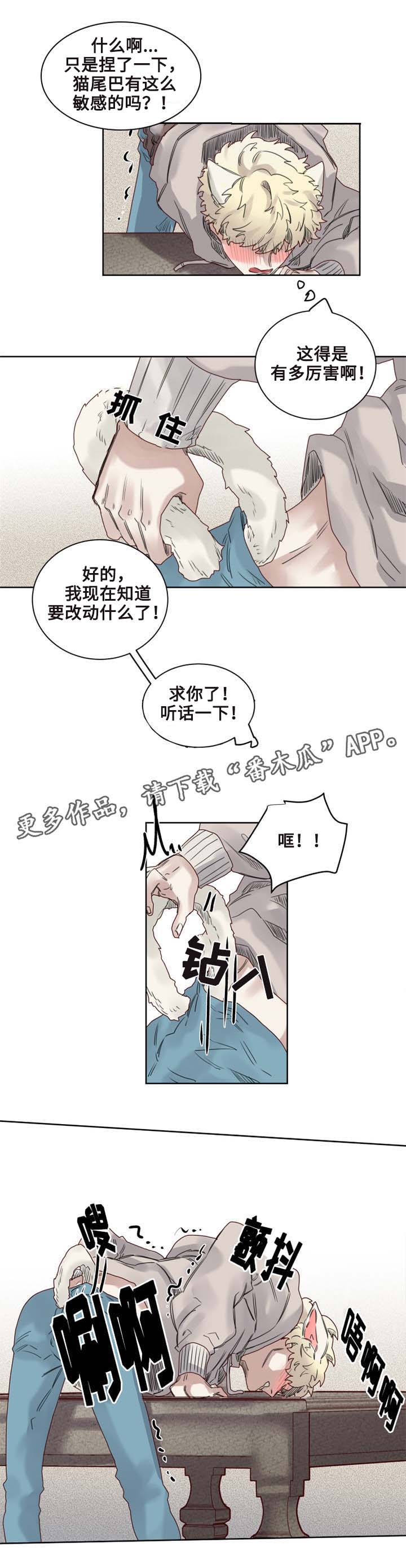 魔法师皮塔漫画,第9章：猫咪套装5图